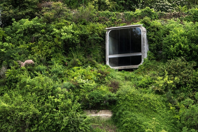 Urban Jungle